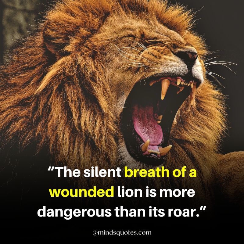 Warrior Lion Quotes