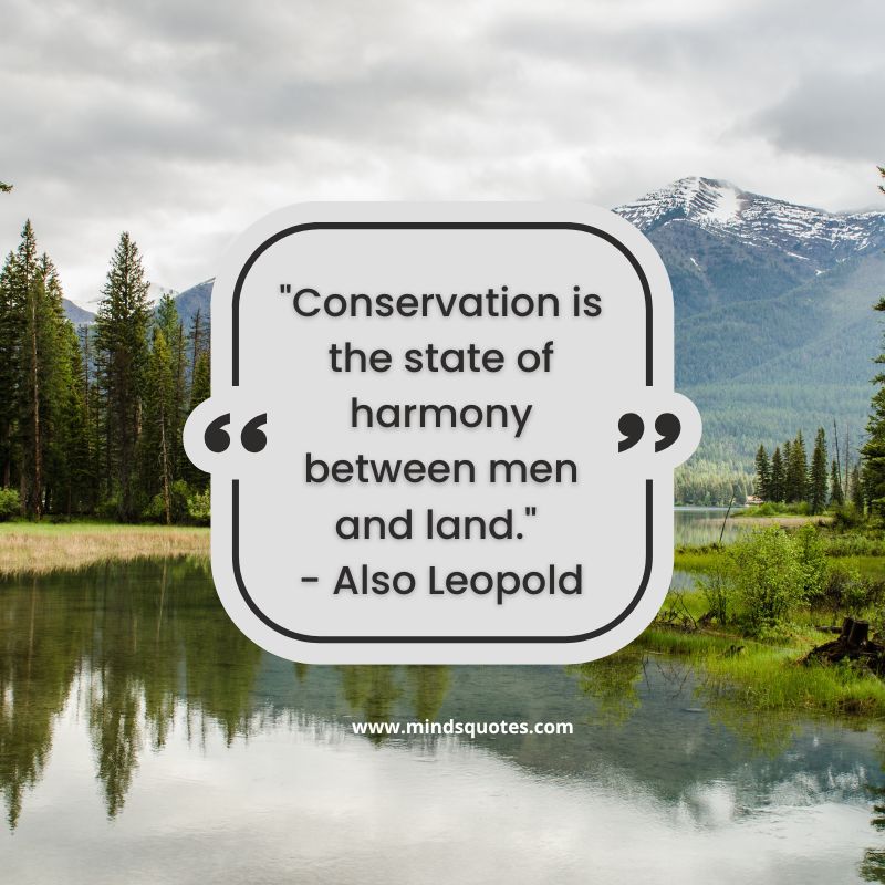 World Nature Conservation Day Quotes