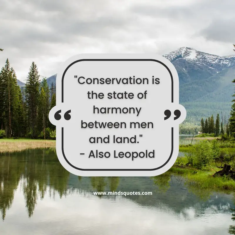 50+ BEST World Nature Conservation Day Quotes & Wishes 3 World Nature Conservation Day Quotes