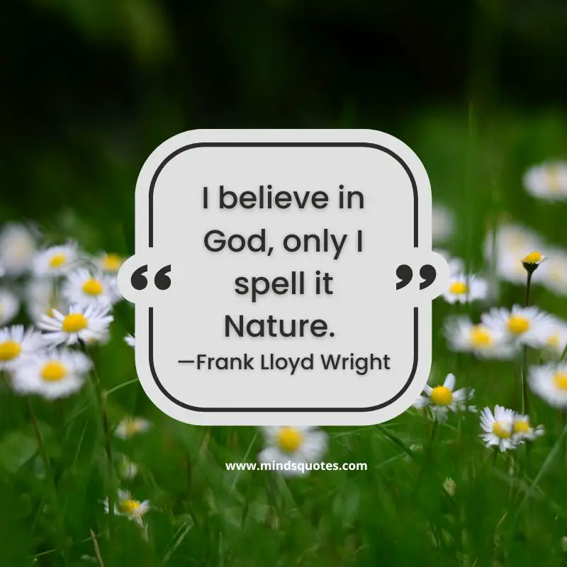 50+ BEST World Nature Conservation Day Quotes & Wishes 5 World Nature Conservation Day Quotes