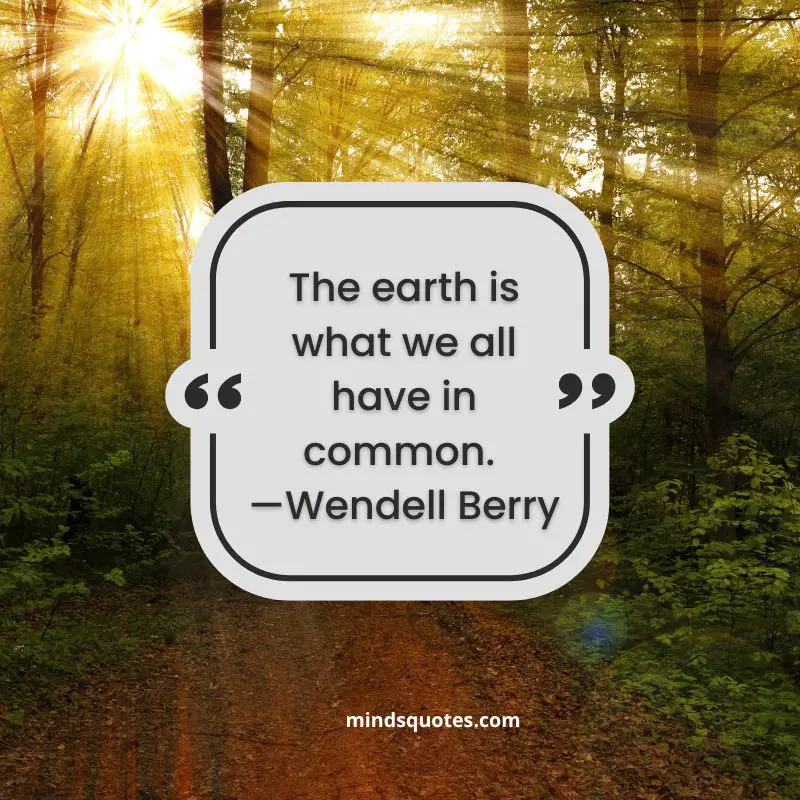 50+ BEST World Nature Conservation Day Quotes & Wishes 6 World Nature Conservation Day Quotes