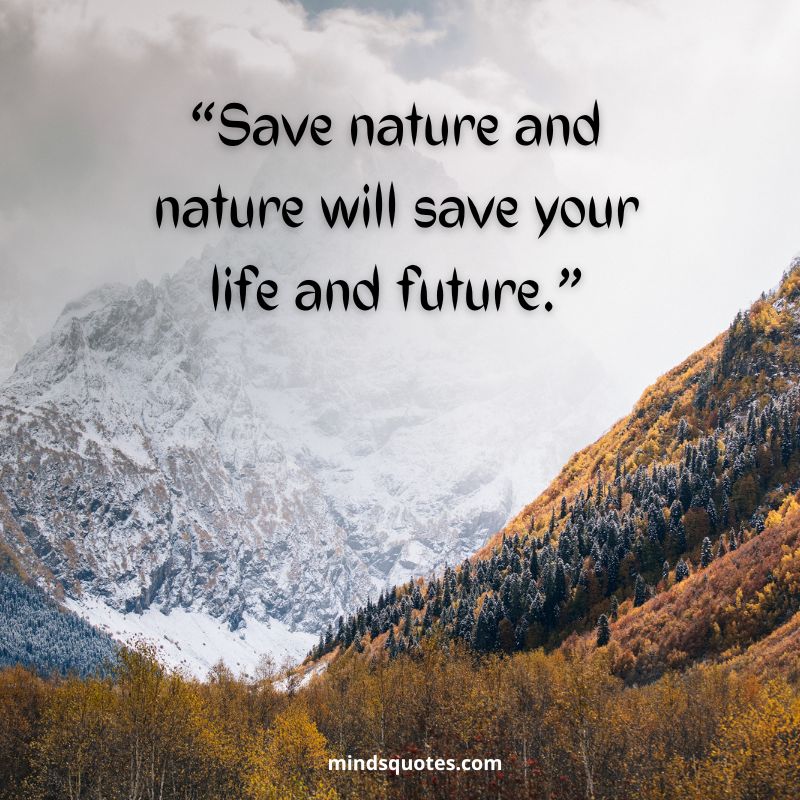 World Nature Conservation Day Slogans