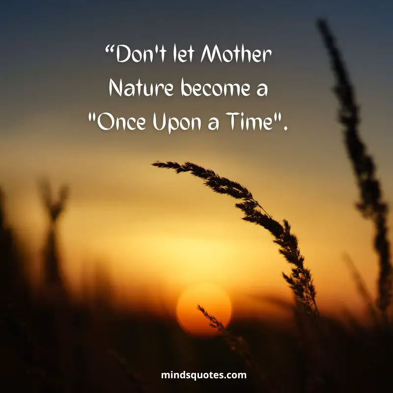 50+ BEST World Nature Conservation Day Quotes & Wishes 14 World Nature Conservation Day Slogans 2022