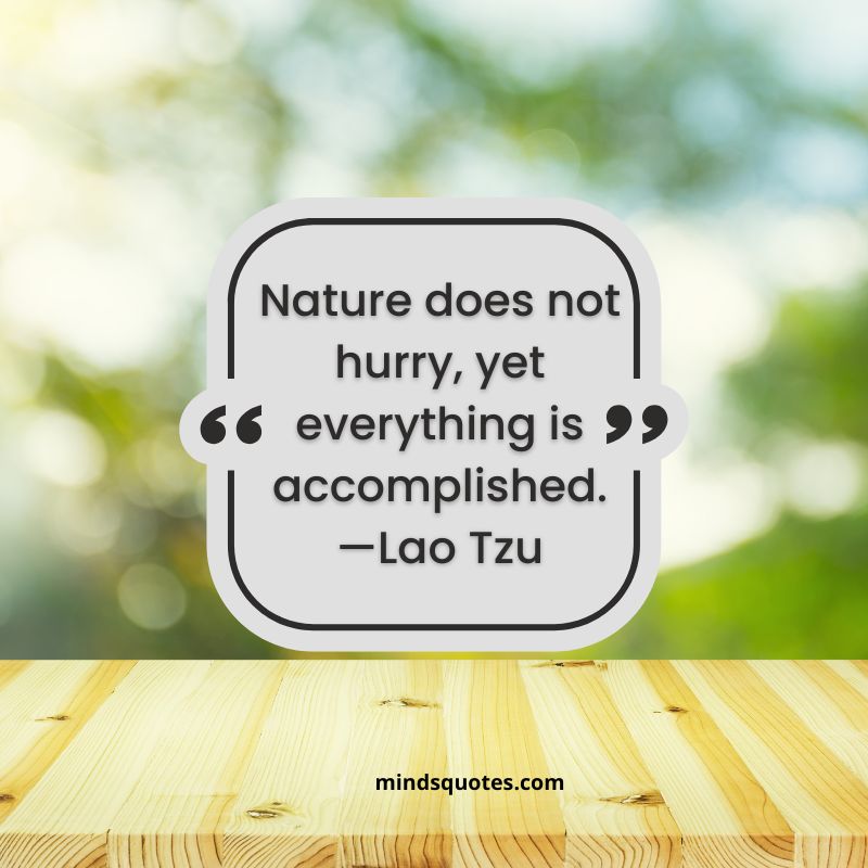 World Nature  Day Quotes