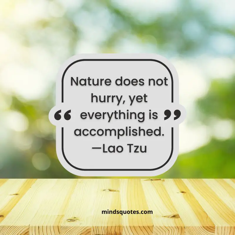50+ BEST World Nature Conservation Day Quotes & Wishes 7 World Nature Day Quotes