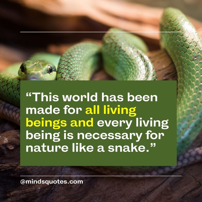 World Snake Day Message 2022