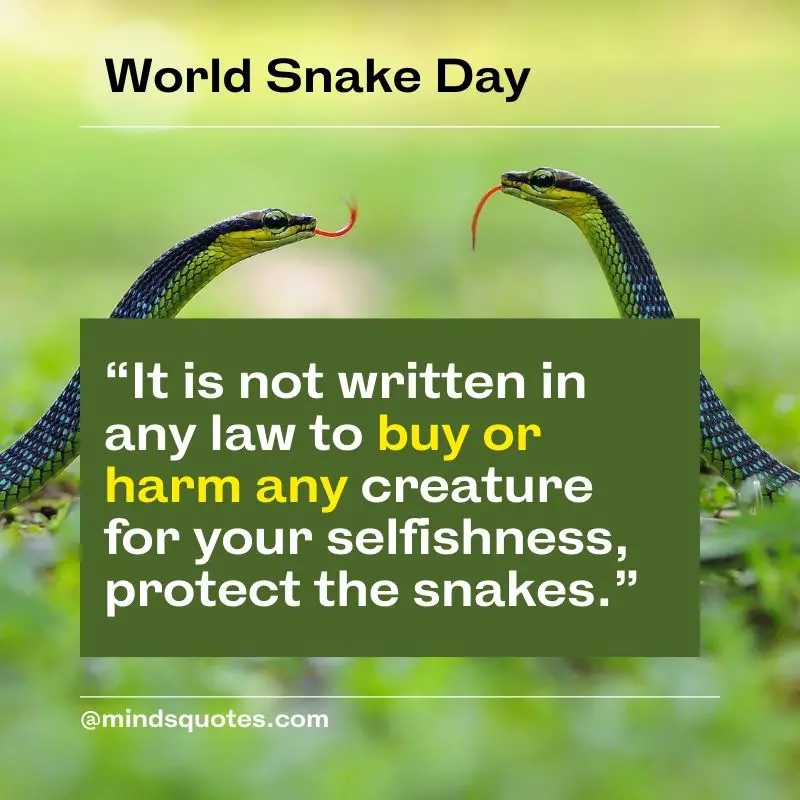 53+ BEST World Snake Day Quotes, Wishes & Messages 12 World Snake Day Message in English