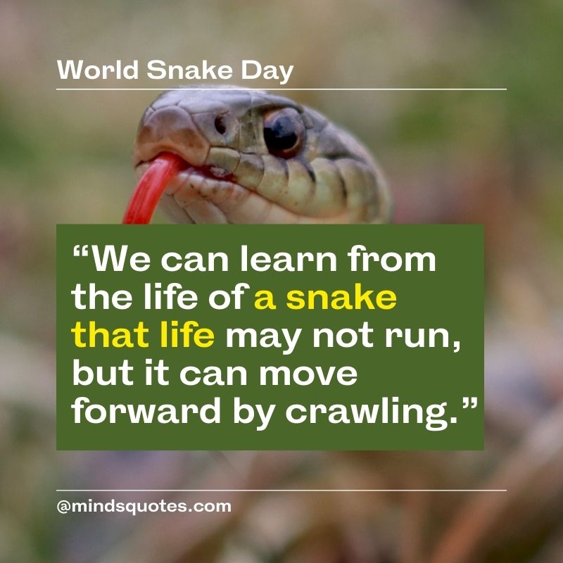 World Snake Day Quotes 