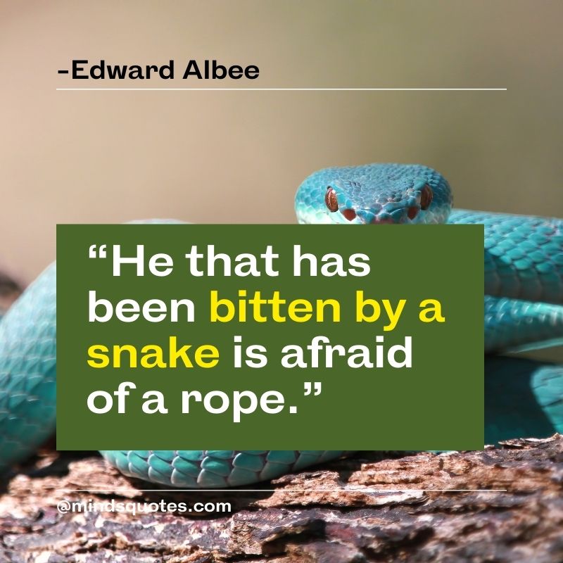 World Snake Day Quotes 2022