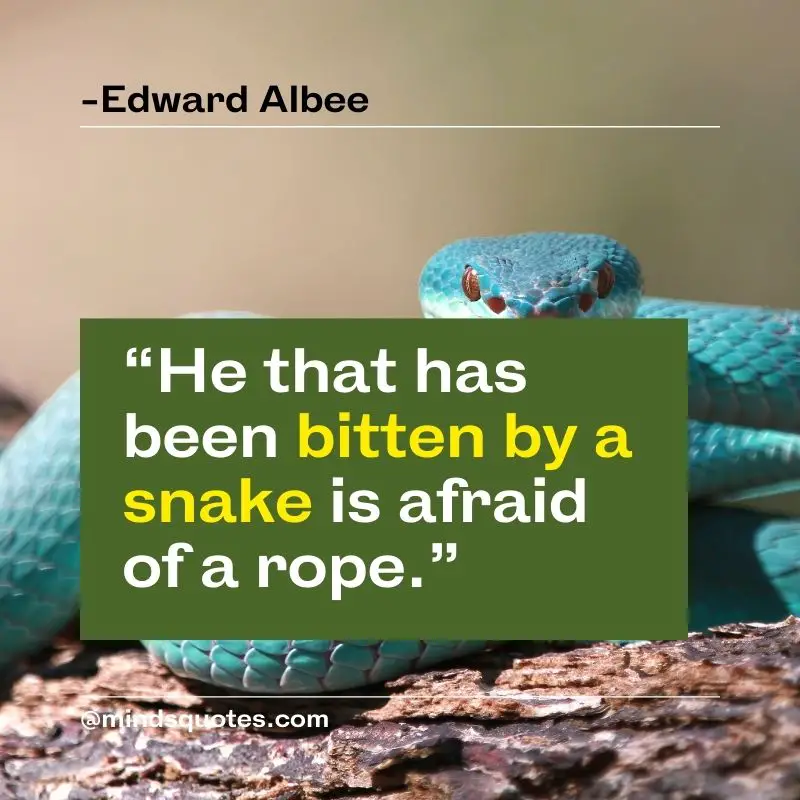 53+ BEST World Snake Day Quotes, Wishes & Messages 3 World Snake Day Quotes 2022