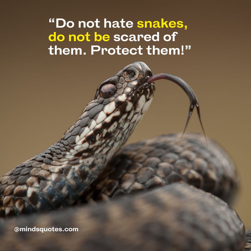 World Snake Day Quotes Slogans 