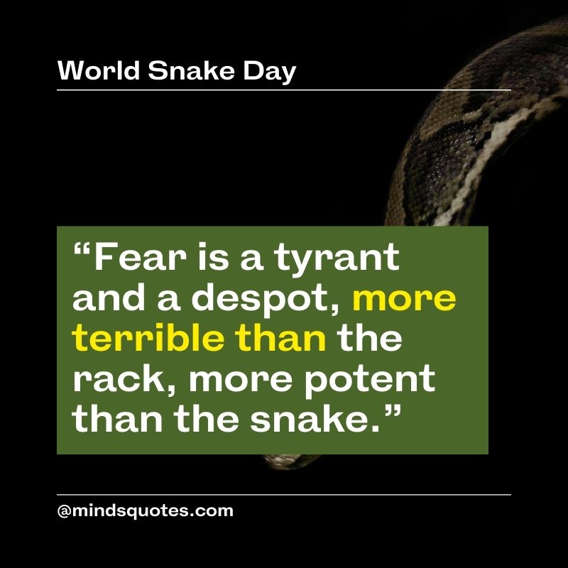 World Snake Day Quotes in English