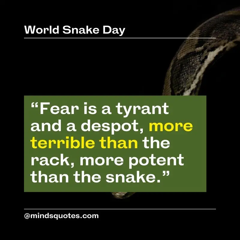 53+ BEST World Snake Day Quotes, Wishes & Messages 4 World Snake Day Quotes in English