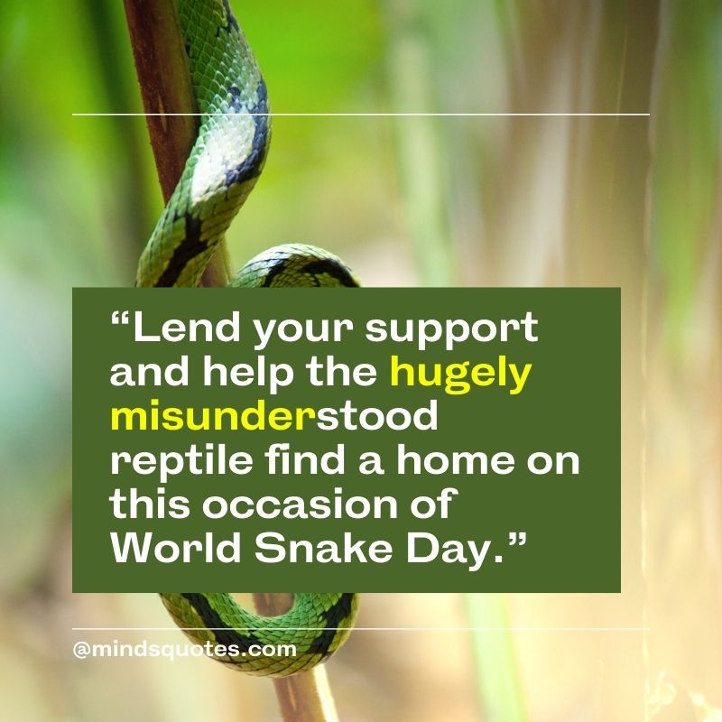World Snake Day Wishes
