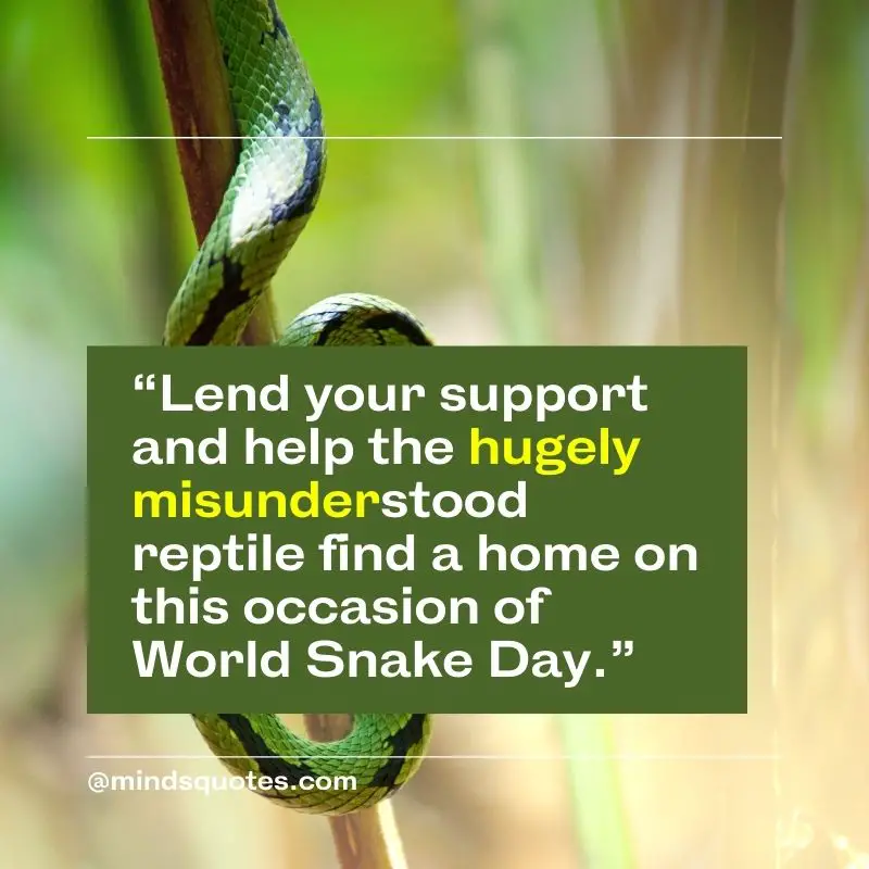 53+ BEST World Snake Day Quotes, Wishes & Messages 6 World Snake Day Wishes