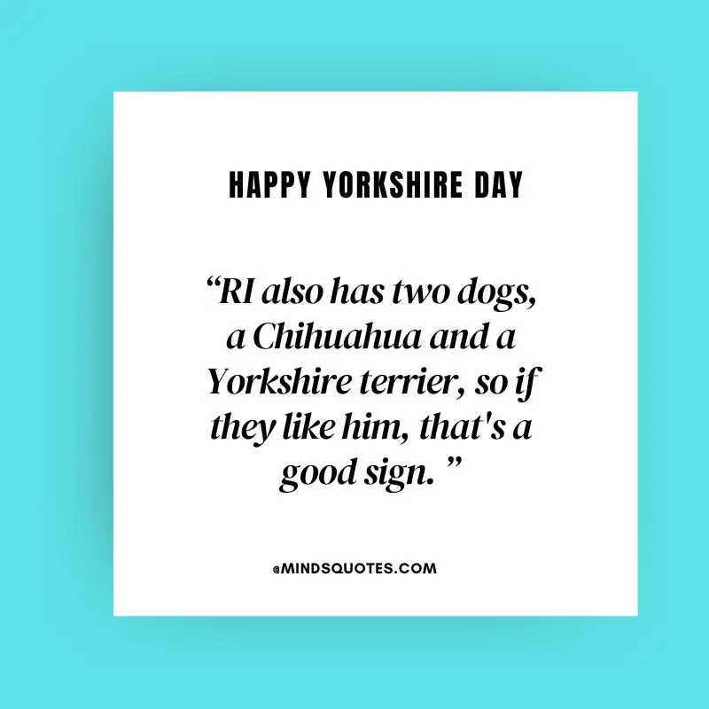 38+ BEST Happy Yorkshire Day Quotes, Wishes & Messages 17 Yorkshire Day Message