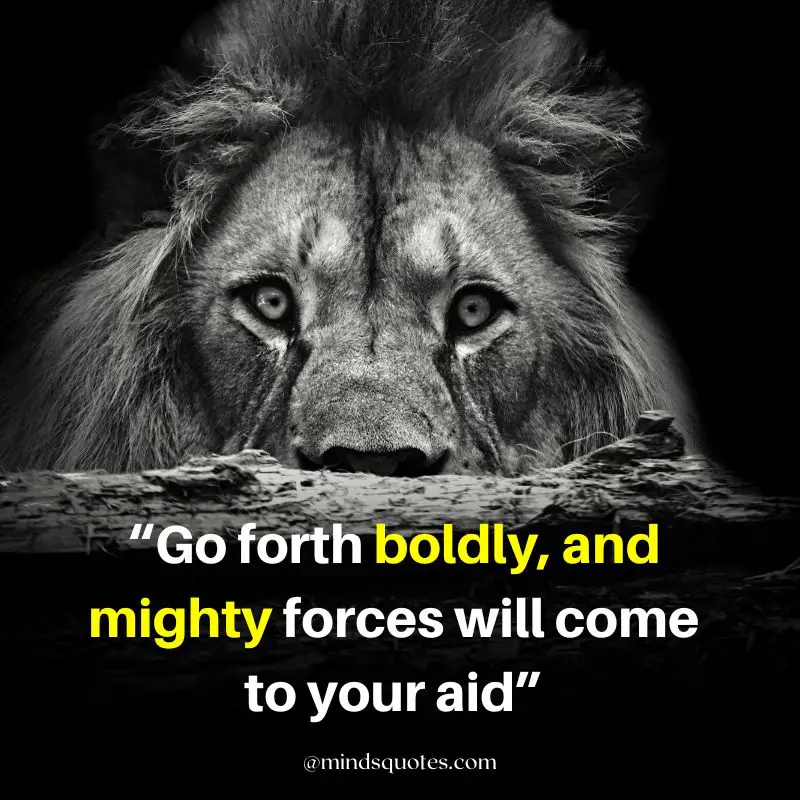 92+ BEST Warrior Lion Quotes on Attitude, Success & Savage 11 attitude powerful lion quotes