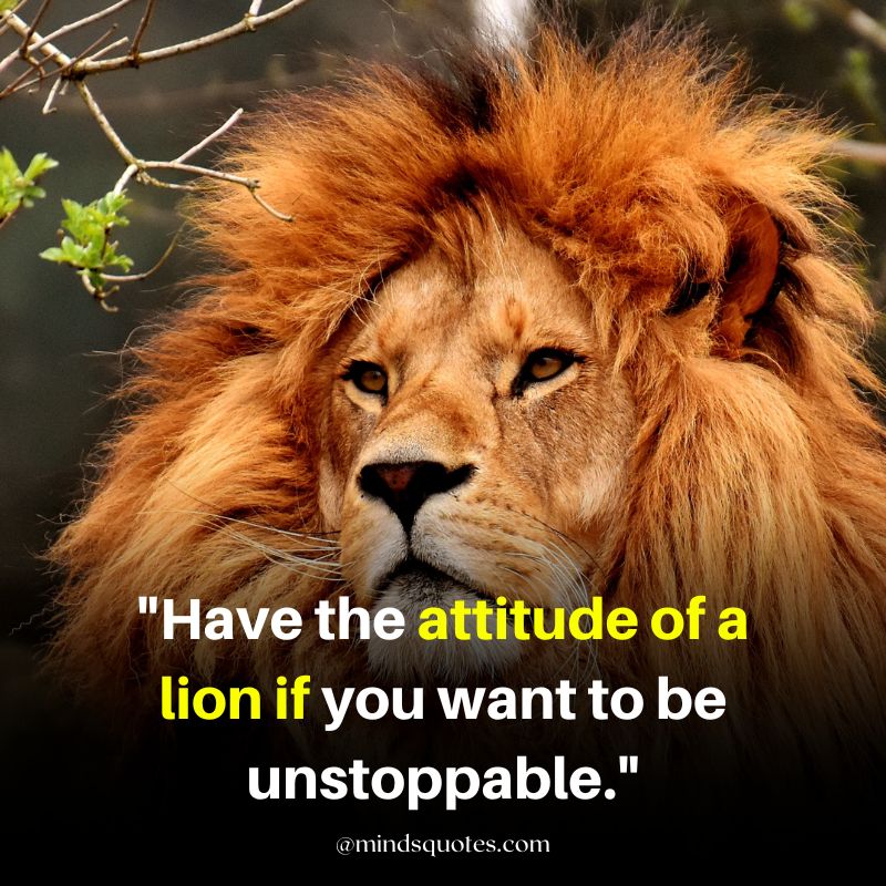 attitude savage lion quotes