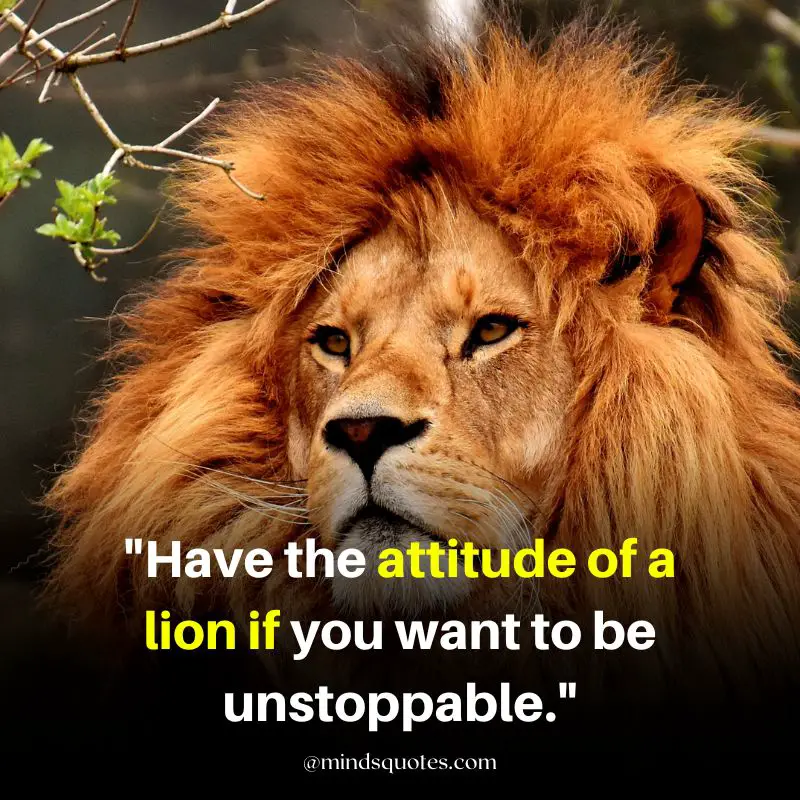 92+ BEST Warrior Lion Quotes on Attitude, Success & Savage 12 attitude savage lion quotes