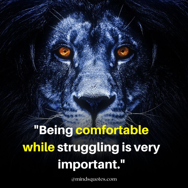confident attitude attitude powerful lion quotes