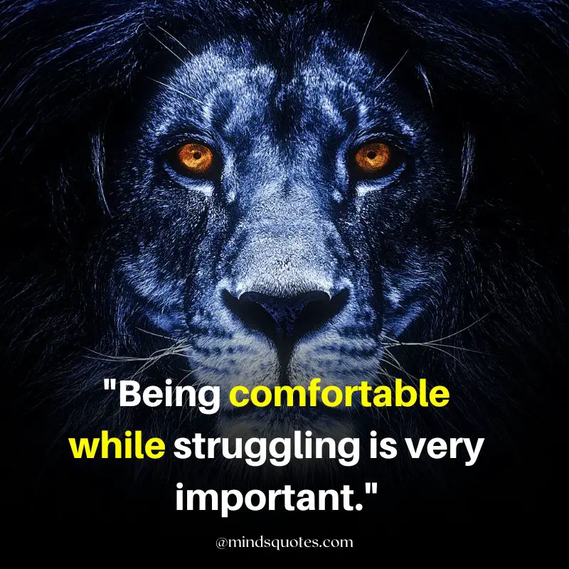 92+ BEST Warrior Lion Quotes on Attitude, Success & Savage 10 confident attitude attitude powerful lion quotes