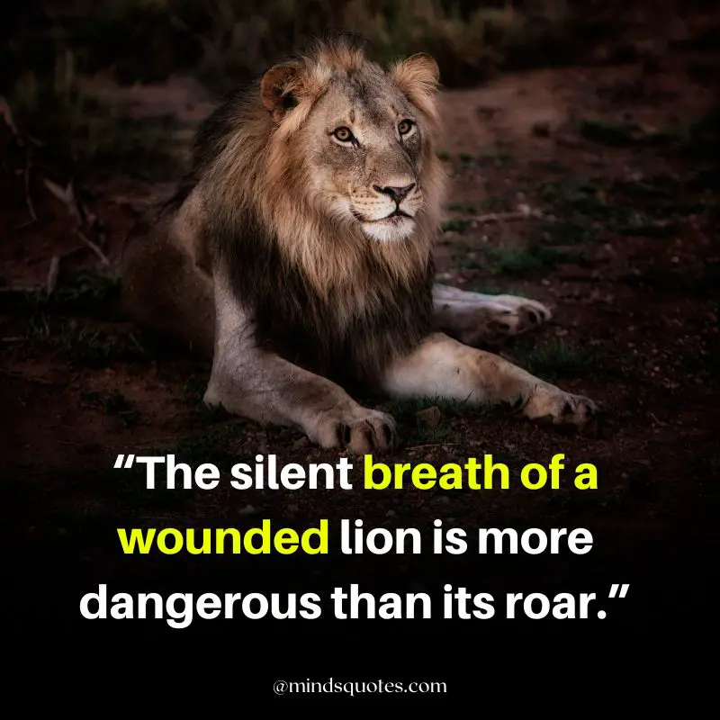 92+ BEST Warrior Lion Quotes on Attitude, Success & Savage 19 inspirational strength lion quotes