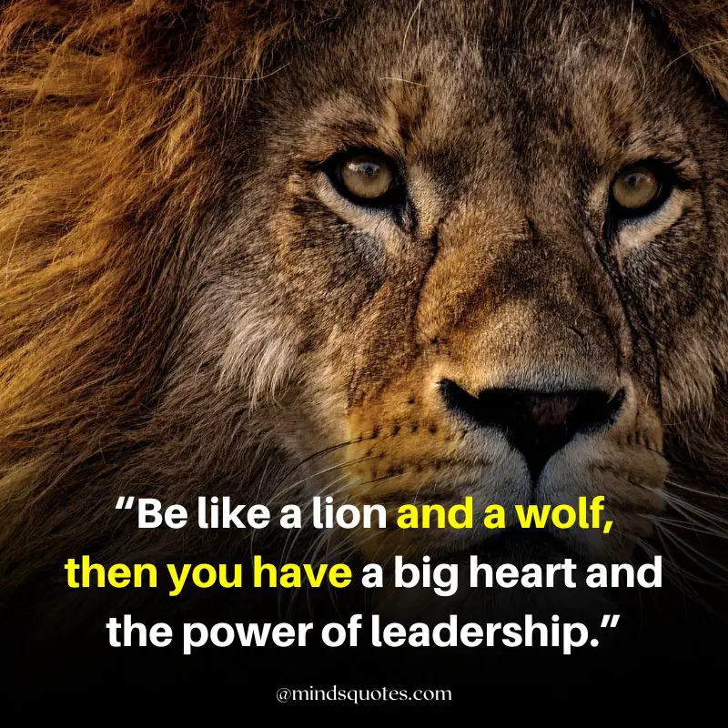 92+ BEST Warrior Lion Quotes on Attitude, Success & Savage 7 inspirational strength lion quotes