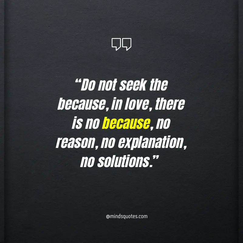 90+ BEST Understanding Quotes for Relationship & Love 15 love understanding quotes