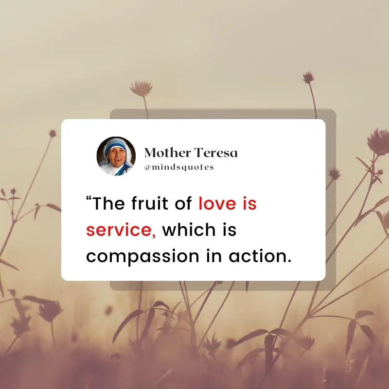 109+ BEST Inspiring Mother Teresa Quotes Do it Anyway 13 mother teresa quotes about service
