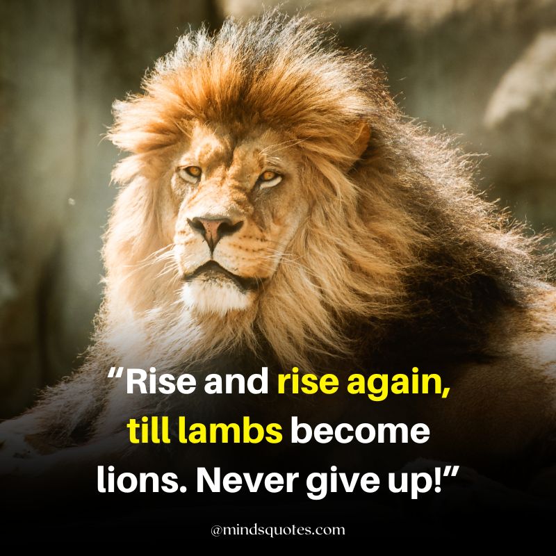 motivational lion quotes