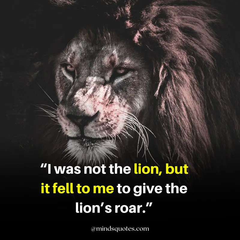 92+ BEST Warrior Lion Quotes on Attitude, Success & Savage 16 powerful strong lion quotes