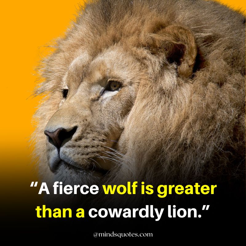 savage lion quotes