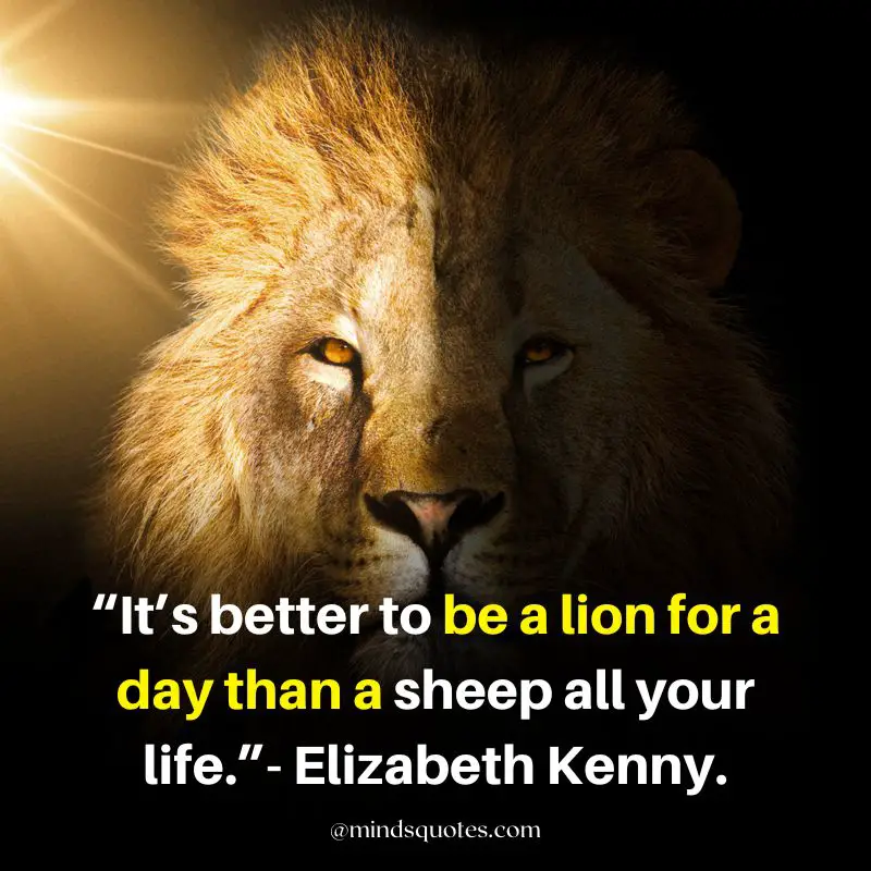 92+ BEST Warrior Lion Quotes on Attitude, Success & Savage 4 warrior lion quotes