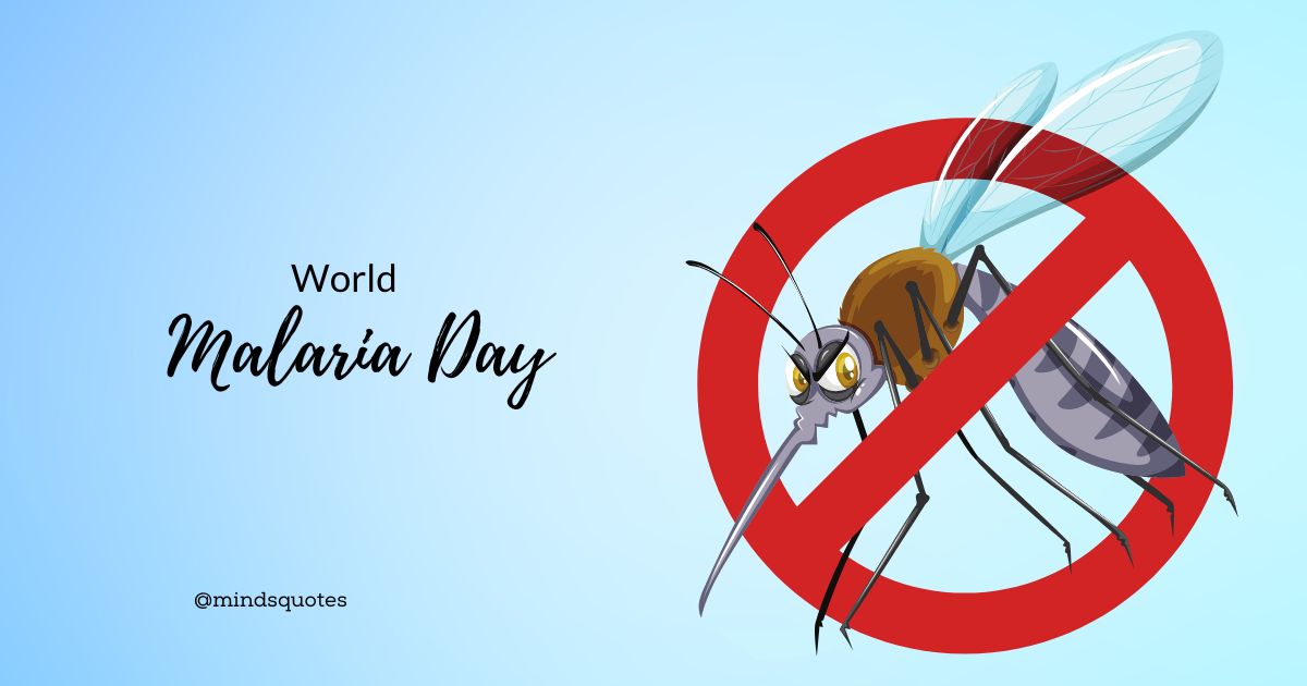 34+ Most Important World Mosquito Day Quotes & Messages