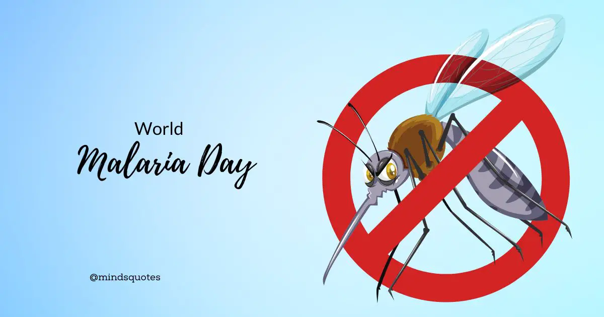 34+ Most Important World Mosquito Day Quotes & Messages