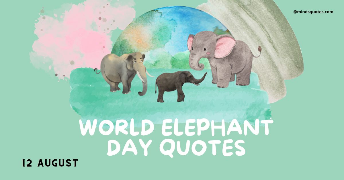 45 + Famous World Elephant Day Quotes, Wishes & Messages