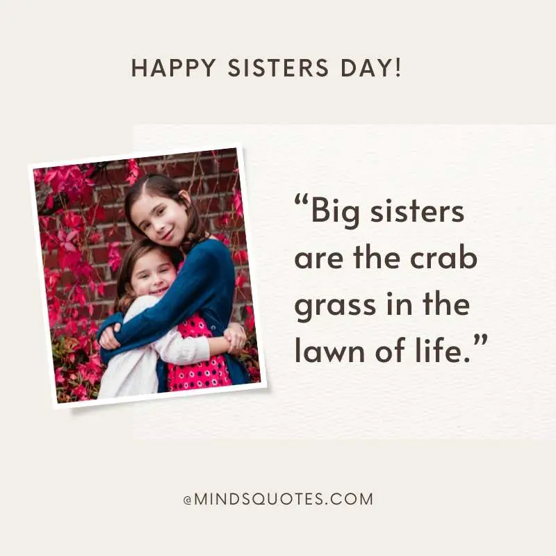 47+ BEST National Sisters Day Quotes, Wishes & Messages 5 Elder Sisters Quotes