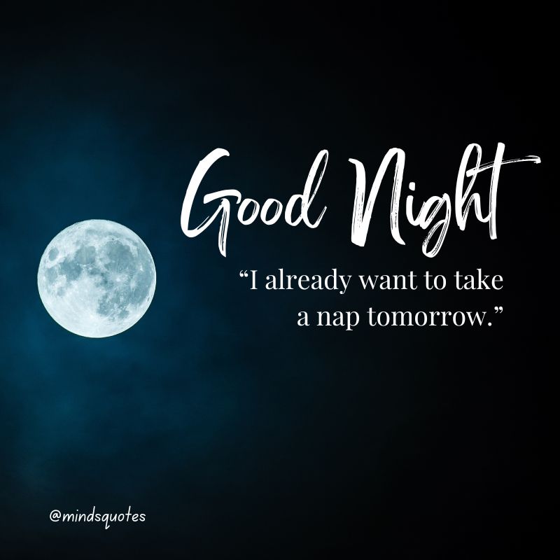 The 187+ BEST Good Night Quotes To Send Before You Sleep 50 Funny Good Night Quotes