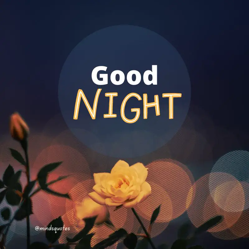 The 187+ BEST Good Night Quotes To Send Before You Sleep 59 Good Night Images for FB Status