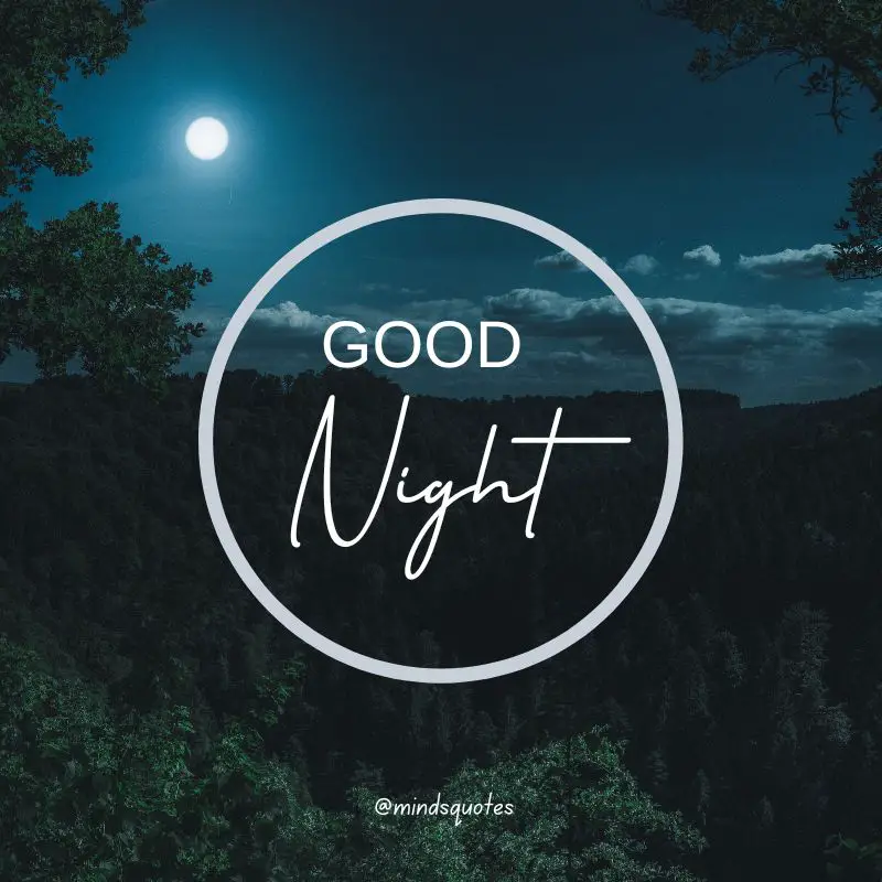 The 187+ BEST Good Night Quotes To Send Before You Sleep 60 Good Night Images for FaceBook Status
