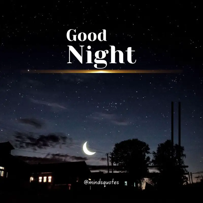 The 187+ BEST Good Night Quotes To Send Before You Sleep 56 Good Night Images for Status