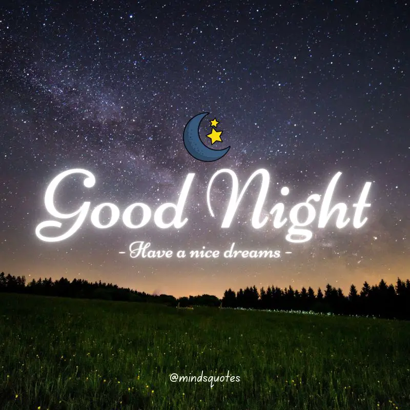 The 187+ BEST Good Night Quotes To Send Before You Sleep 55 Good Night Images