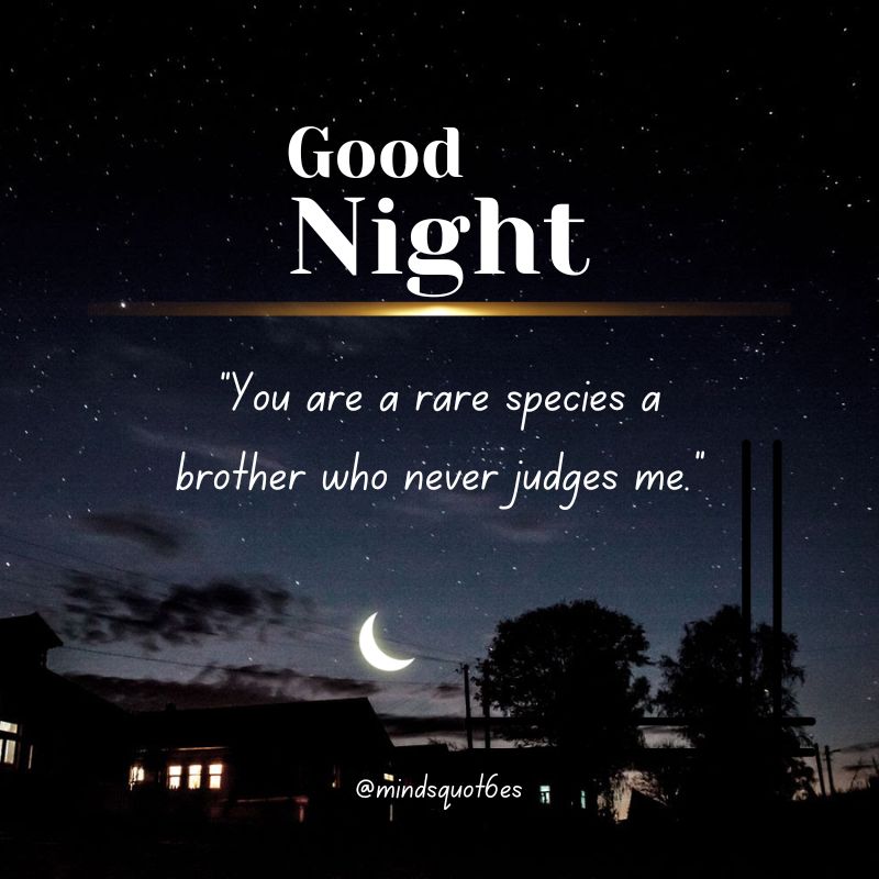 Good Night Quotes for Brother