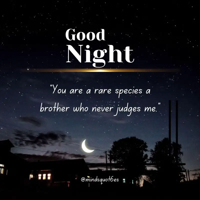The 187+ BEST Good Night Quotes To Send Before You Sleep 47 Good Night Quotes for Brother