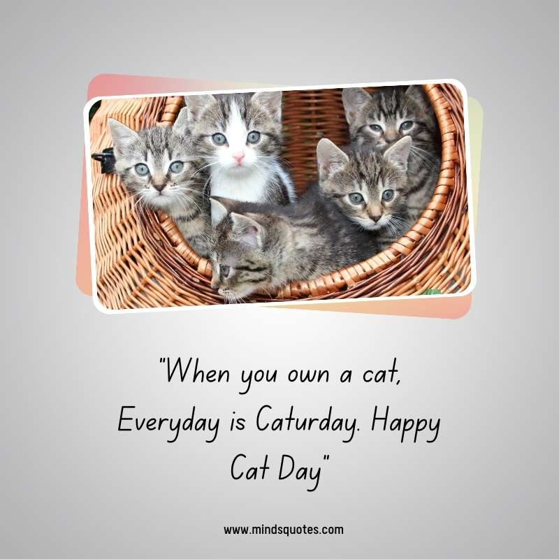 Happy International Cat Day Greetings