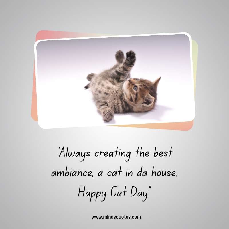 Happy International Cat Day Greetings 2022