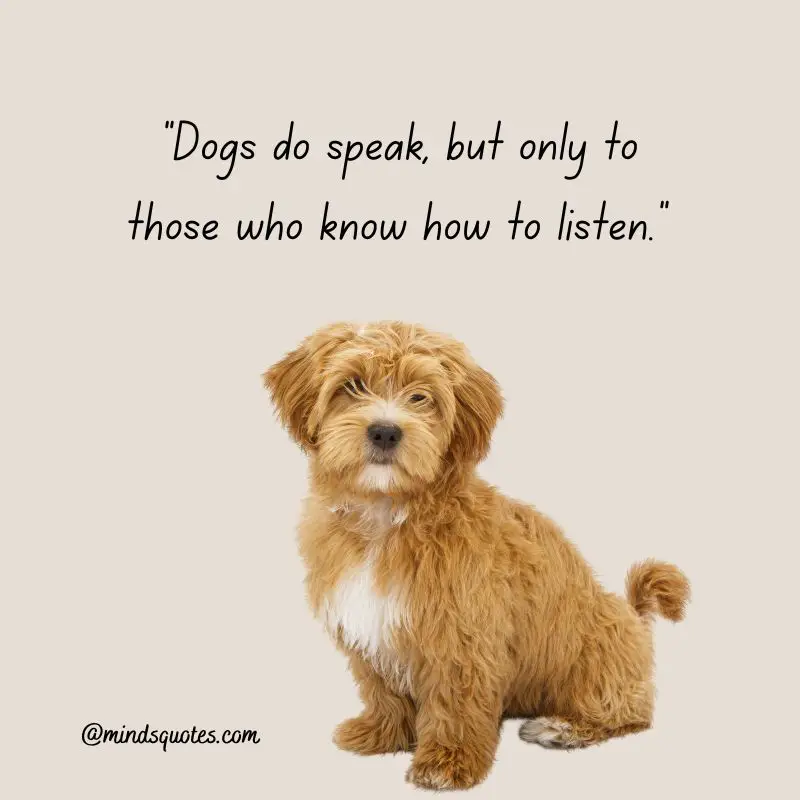 41+ BEST International Dog Day Quotes, Wishes & Messages 10 Happy International Dog Day Messages