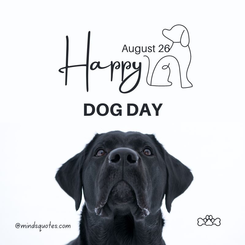 Happy International Dog Day Poster 2022