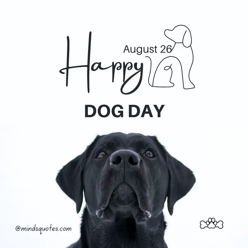 41+ BEST International Dog Day Quotes, Wishes & Messages 12 Happy International Dog Day Poster 2022