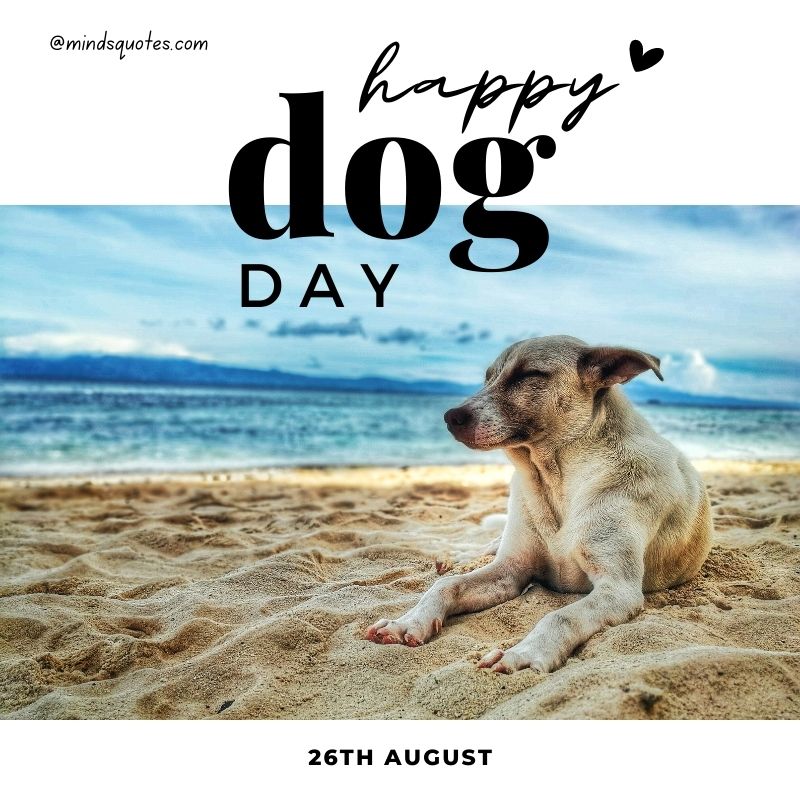 Happy International Dog Day Poster